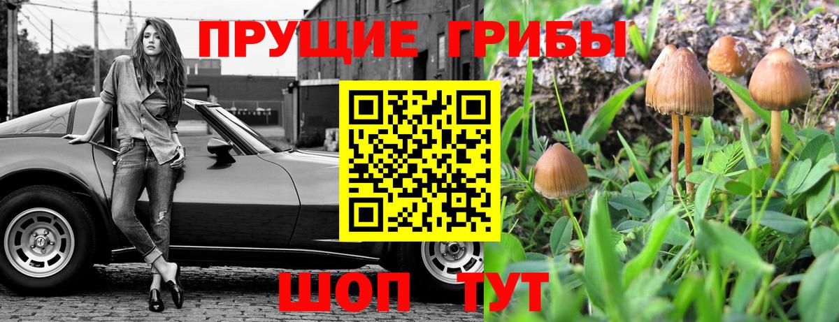 Галлюциногенные грибы Magic Shrooms Кулебаки