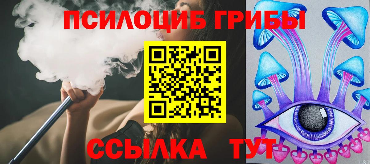Кулебаки  Галлюциногенные грибы Psilocybine cubensis  Вход с VPN 